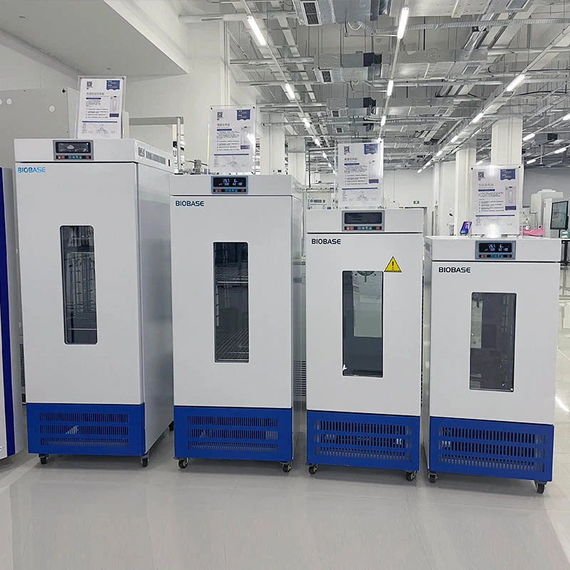 Biobase Cold-Rolled Steel Laboratory Used Mould Incubator