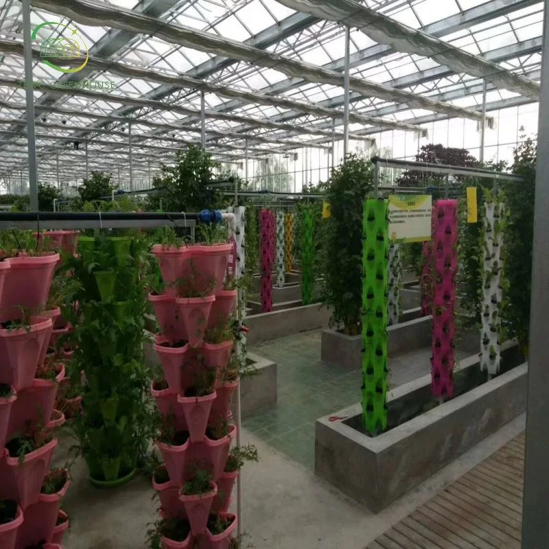 Nutrient Solution Customized Tropical Nft Hydroponics System Used for Vegetable