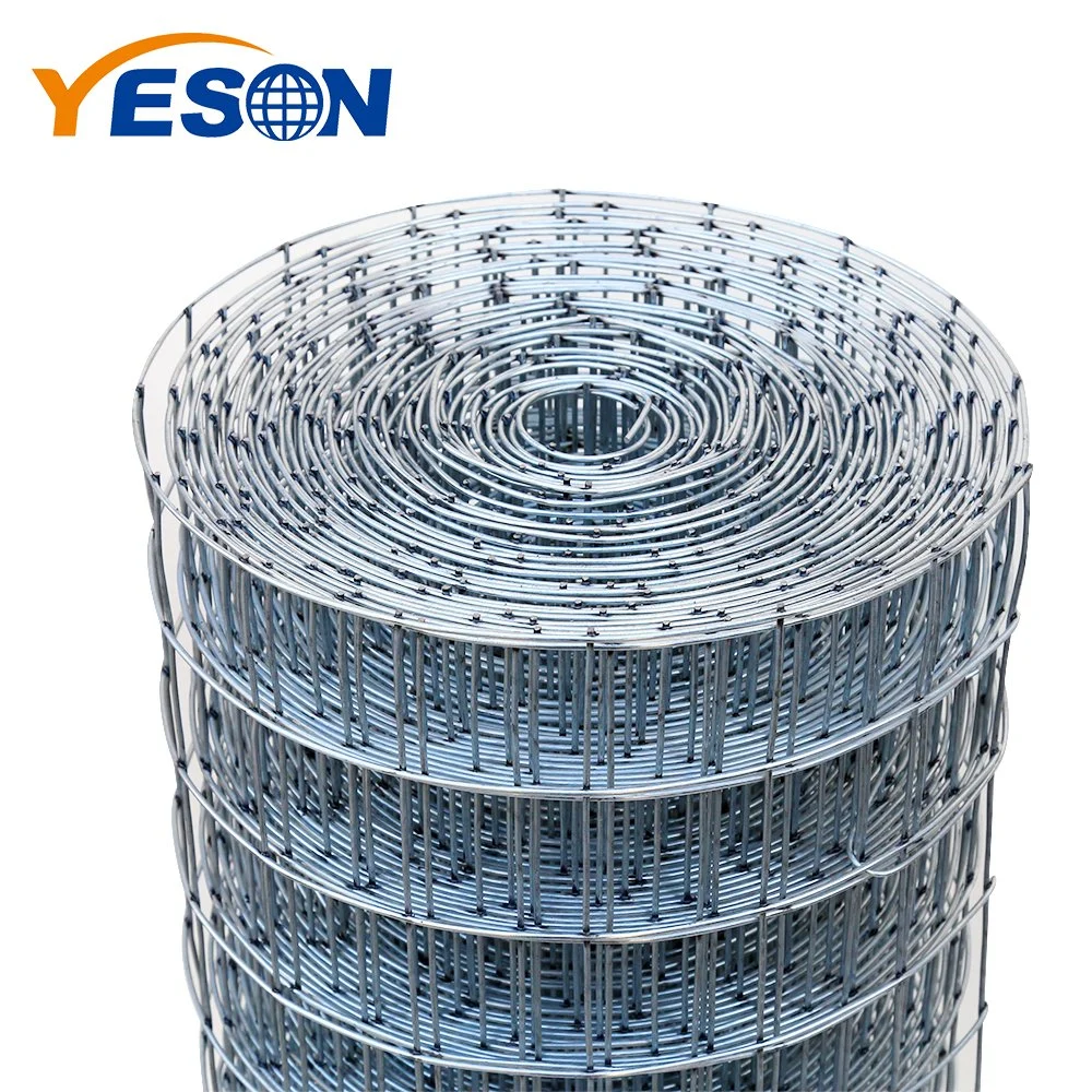 China Anping Manufacturer High quality/High cost performance  Galvanized Welded Wire Mesh for Bird Cage