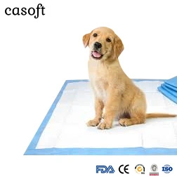 Hersteller Casoft Best Selling Training High Absorption Einweg Indoor Voll Größe Pet PISSE Pads liefern Japan Korea