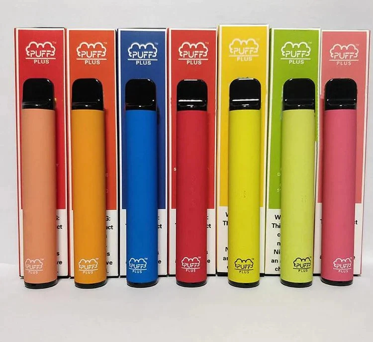 Stylo Vape jetable Original Wholesale/Supplier 550 mAh 800 Puff plus Pen E-cigarette style