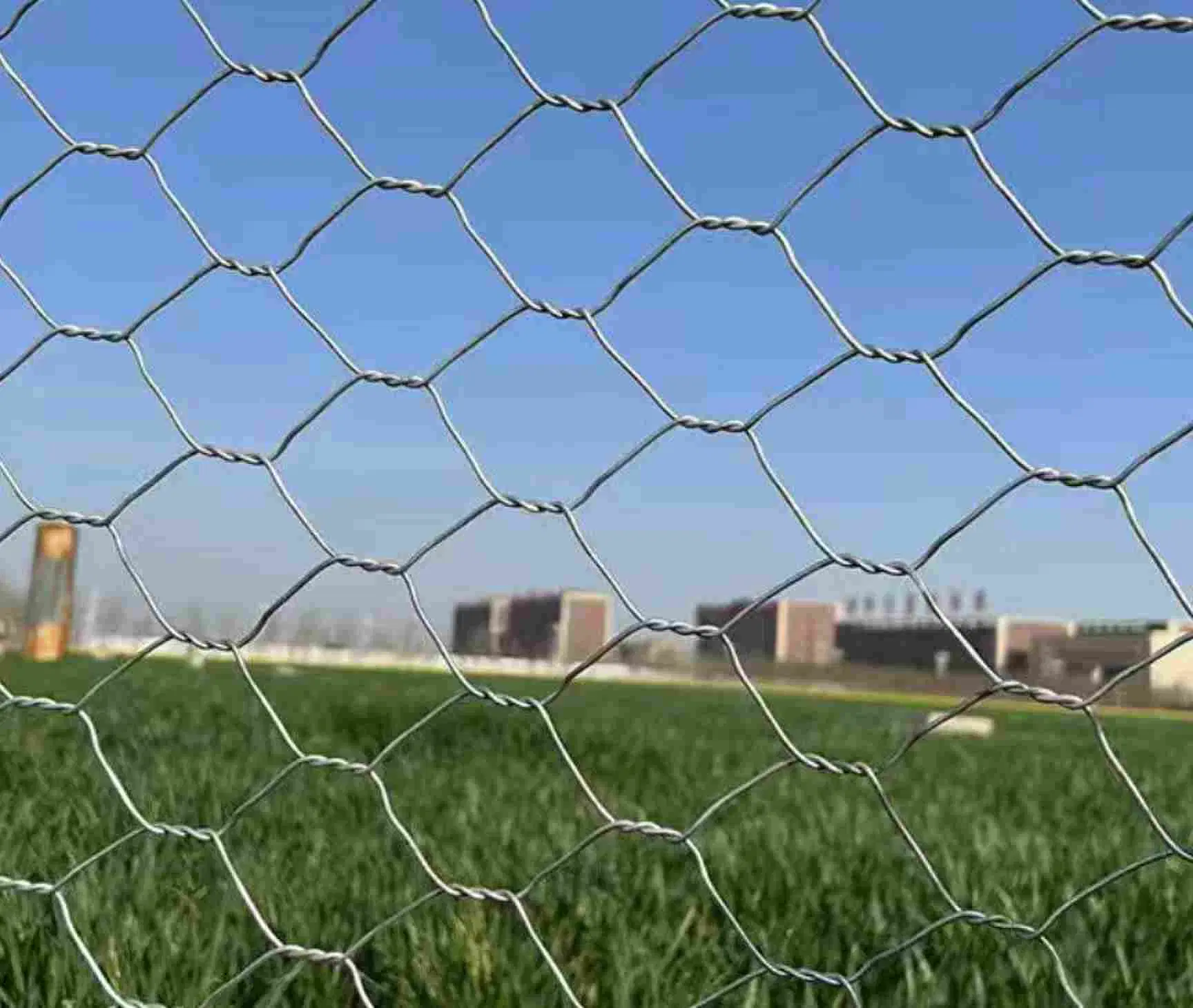 Competition Price China Manufacturer Supply Iron Wire Mesh PVC Coated or Galvanized Hexagonal Wire Mesh