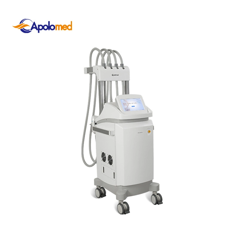 Weight Loss New Technology Cryolipolysis Slimming Lipo Laser for Commercial