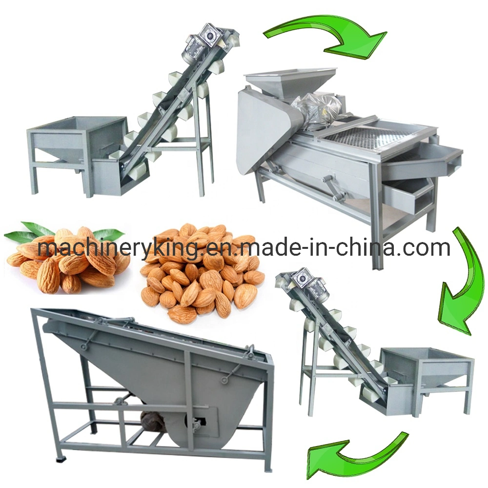 Dry Nuts Grading Machine Date Palm Sorting Machine