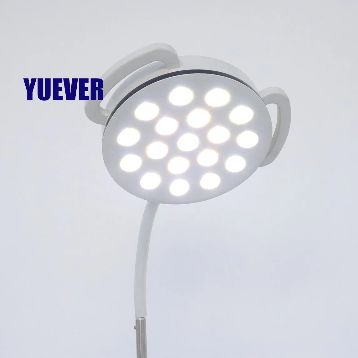 Yuever Medical de alta calidad montado en pared LED examen sin sombras OT Lámpara quirúrgica de operación Veterinaria ligera