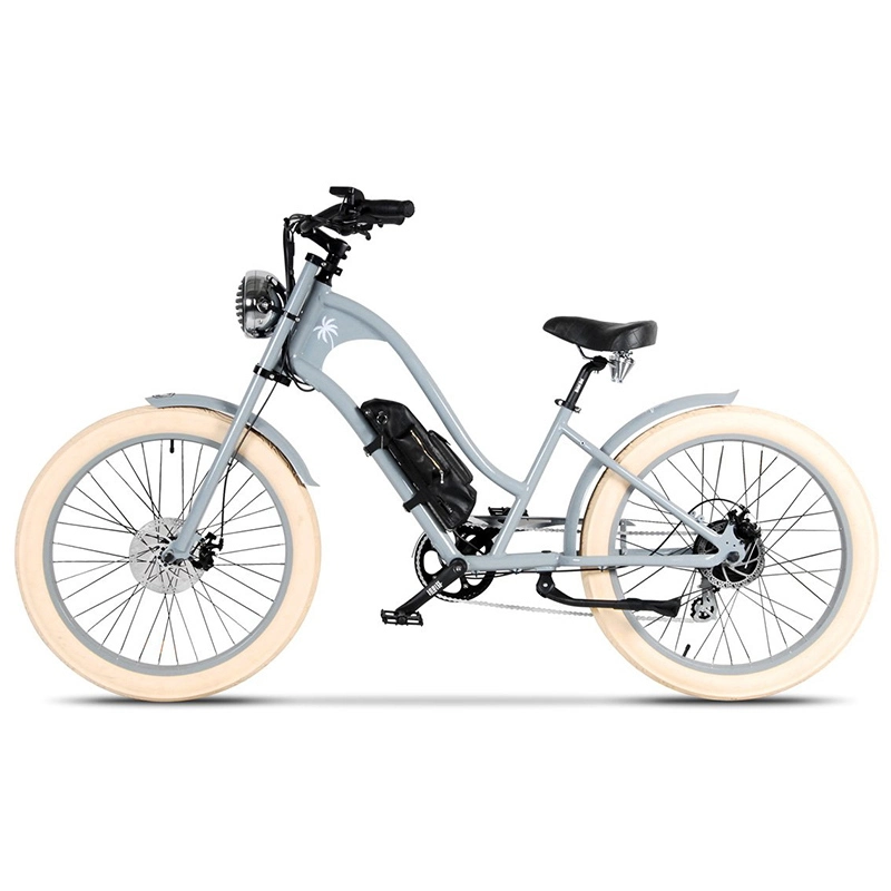 36V Li-Ion Batterie elektrisches Fahrrad CE/En15194 Beach Crusier elektrisches Fahrrad