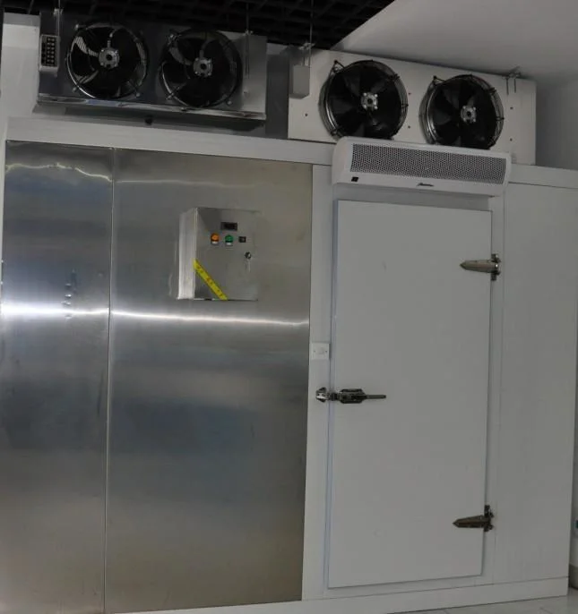 Customized Temperature Used Walk in Cooler Panels Cool Room Storage for Vegetable and Fruit