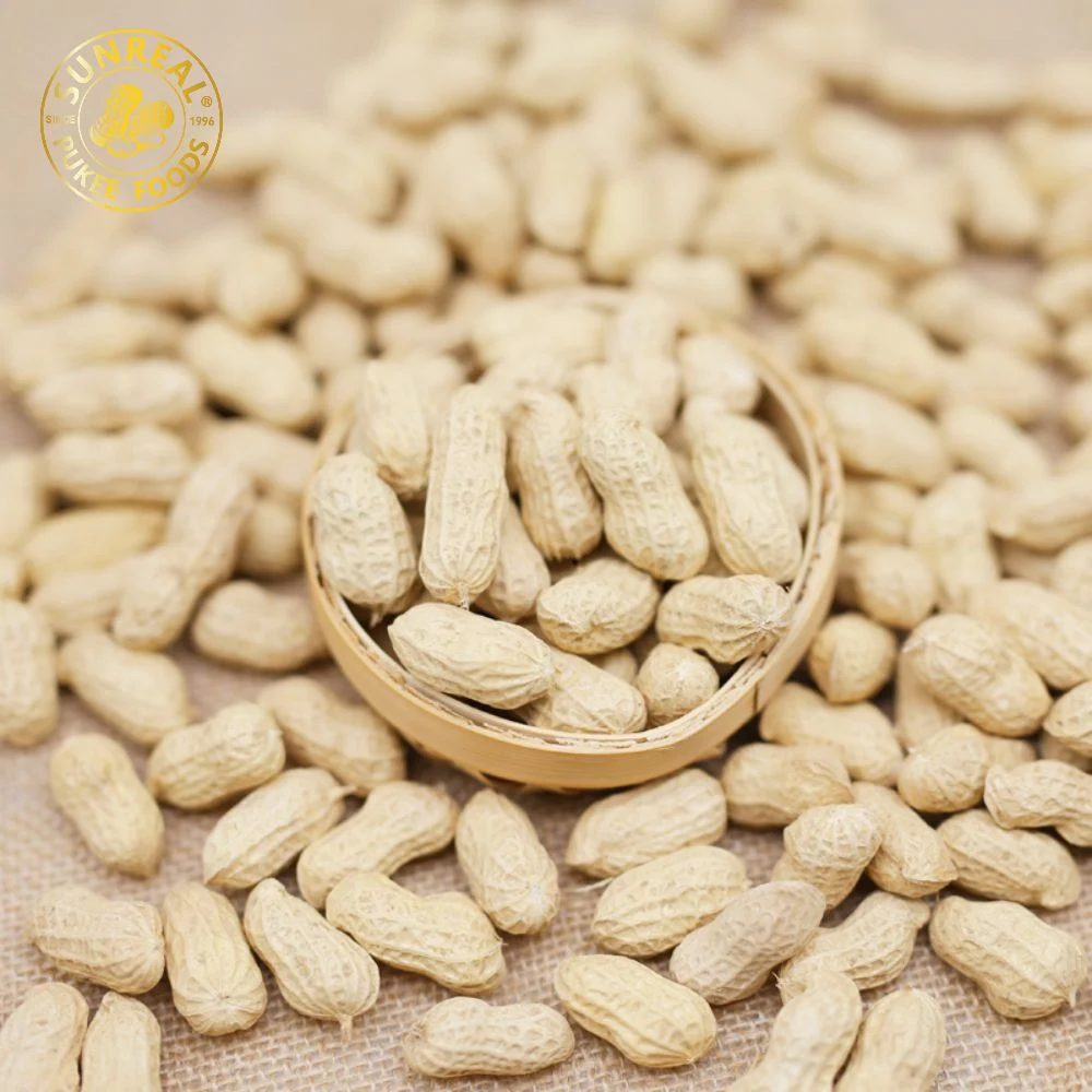 Roasted Hsuji Peanut in Shell/Best Quality From China Snacks New Fresh