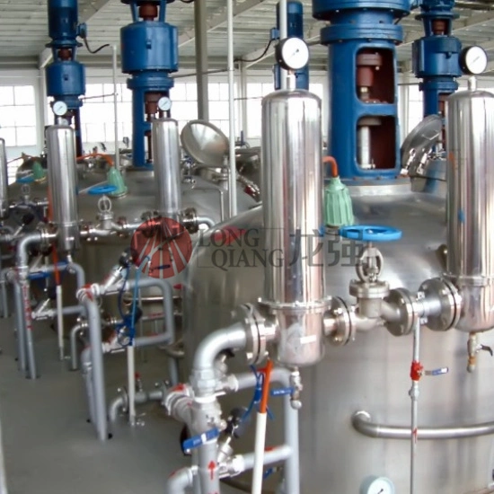 System Customized Pharmaceutical Fementor Biotechnological Liquid Automatic Plant Pharmacy Fermentor Fermentation Tank