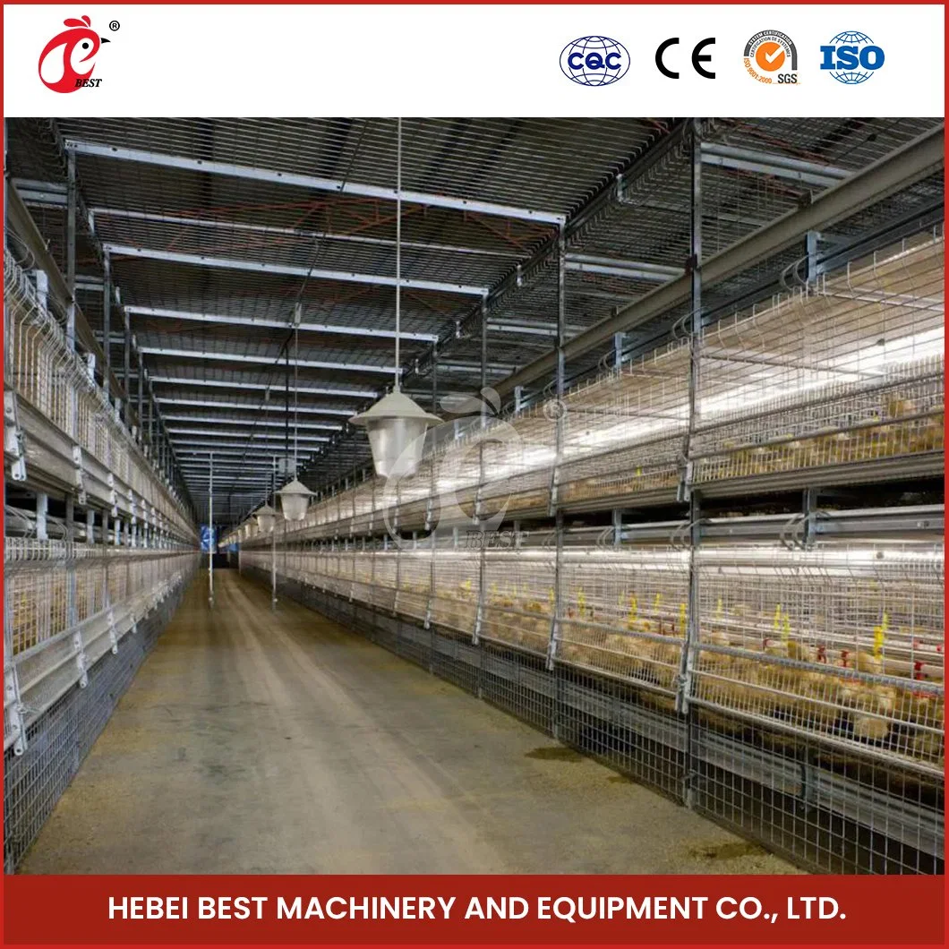 Bestchickencage H Frame Broiler Cages China Hen Chicken Cage Suppliers Simple Style Chick Broiler Cage