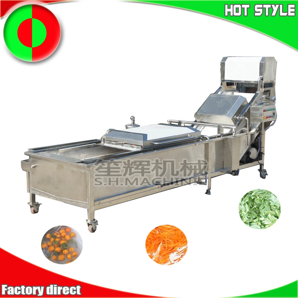 Water Bubble Vegetable Washing Machine Tomato Strawberry Fruit Washer Cleaning Equipment