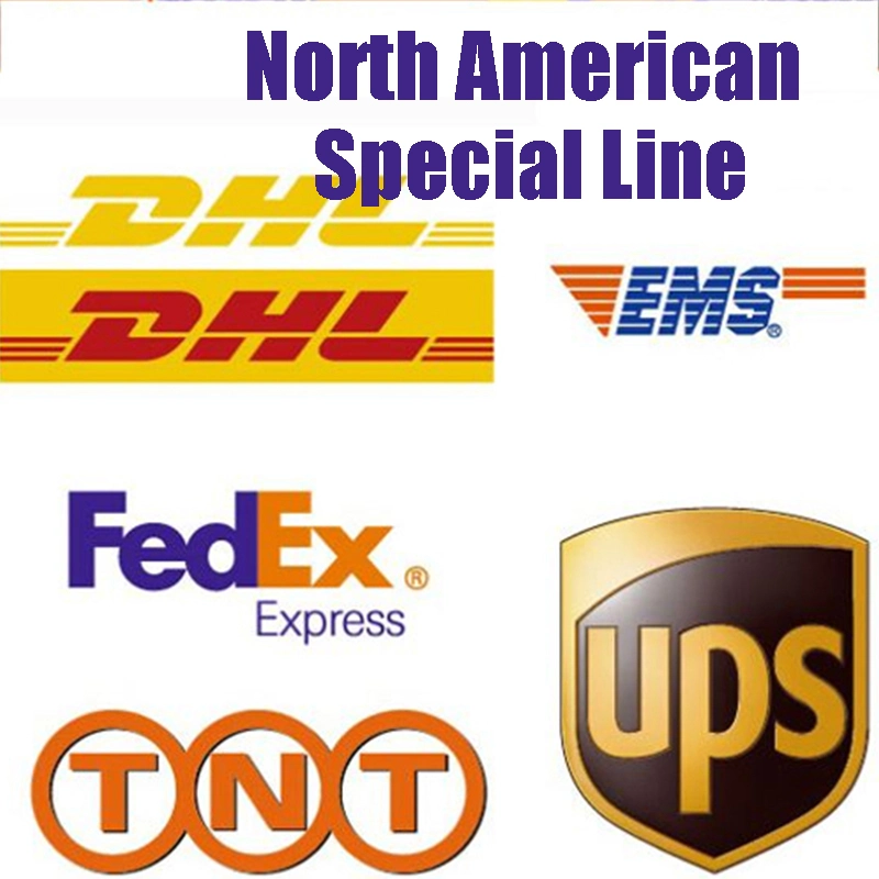 UPS/DHL Fast Air Freight Agente de Envío Puerta a Puerta desde De China a Canadá