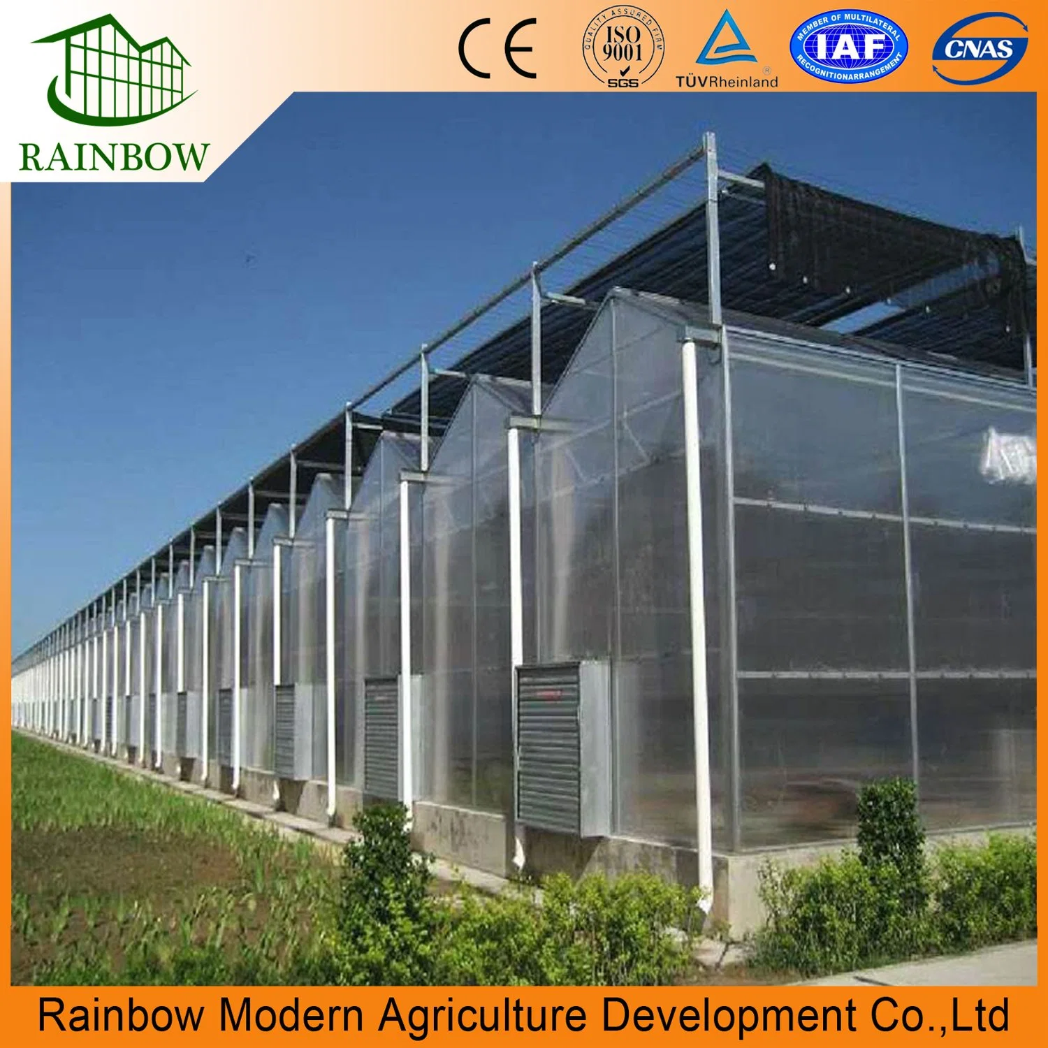 Agricultural Vegetables Greenhouse Used Polycarbonate Sheet