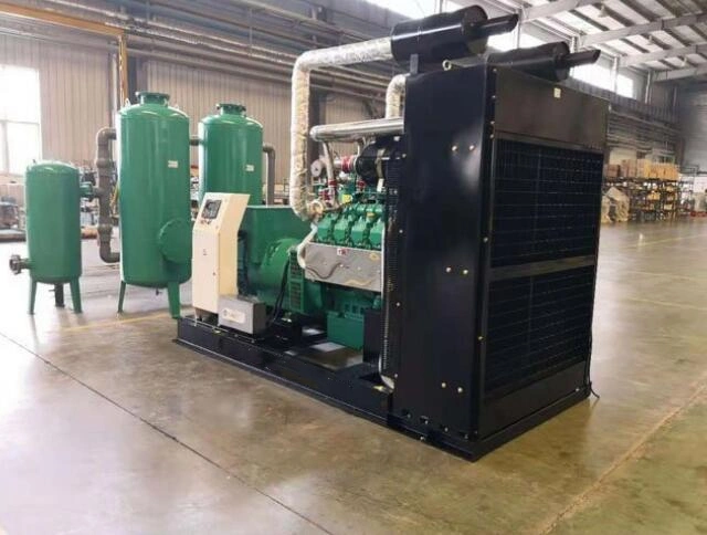 300kw Gas Generator Natural Gas/Biogas/Liquefied Petroleum Gas All Copper Brushless