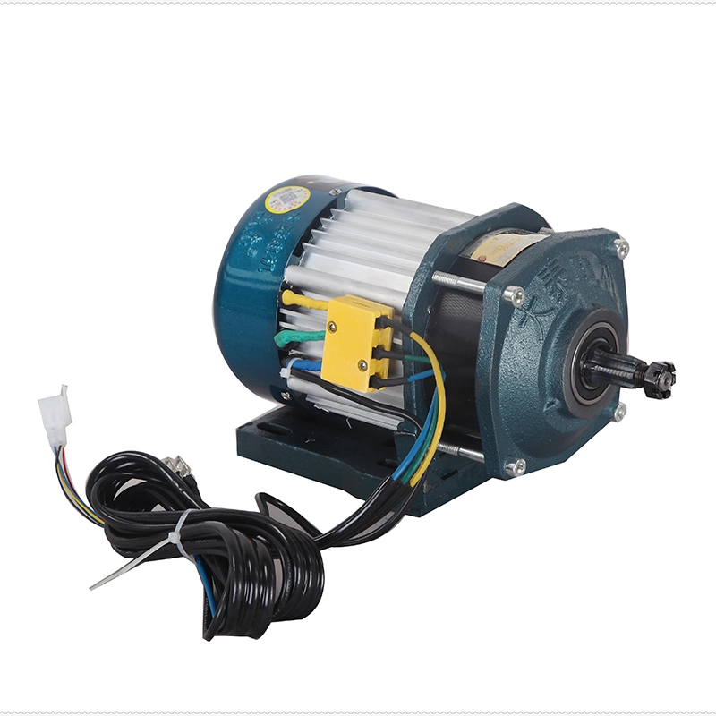 Datai 1200W Gear Motor and Controller Easy-Match for Electric Tricycle, Electric Bike 3400 Rpm