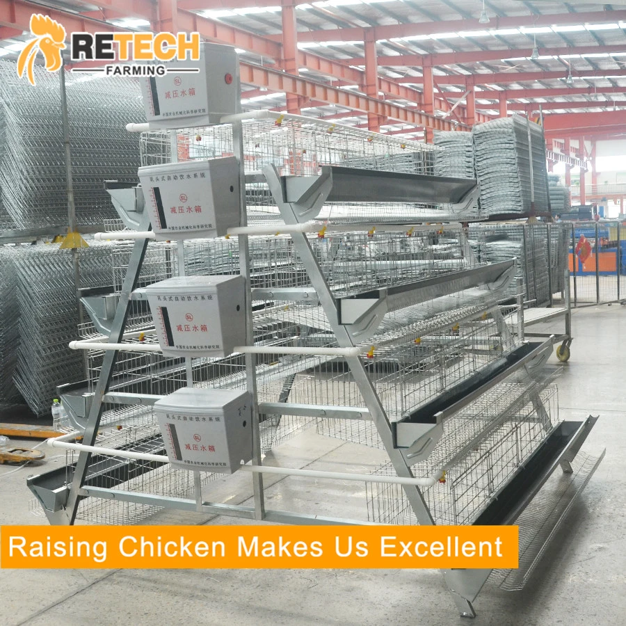 Durable hot-dip galvanized 3 tiers egg layer chicken cages