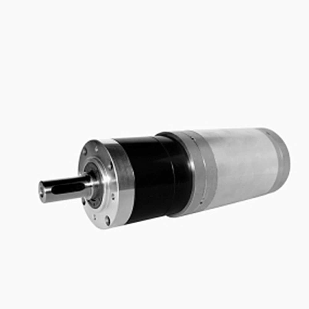 Multi-Functional Special Flat Bus DC Worm Gear Wiper DC Motor