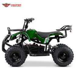 Новый электрический ATV Quad Bike для детей 500W/800 Вт/1000W 36V12Ah