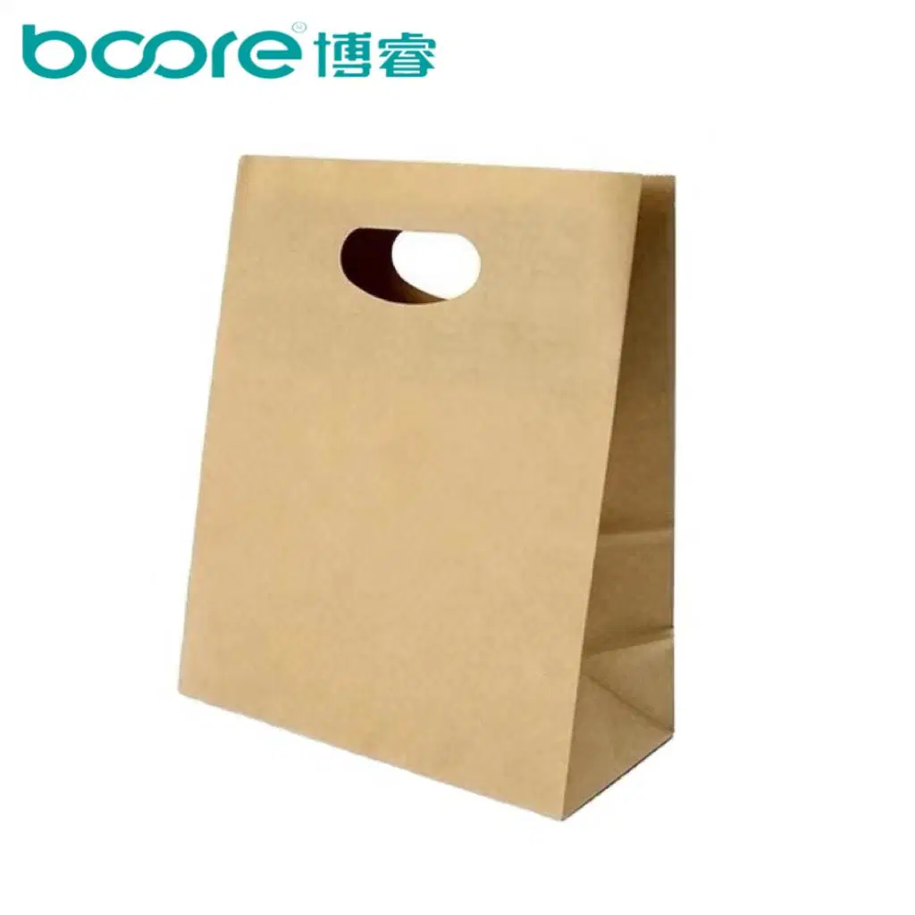 Shopping Carrier Bag Paper Flexo Printing Custom Logo