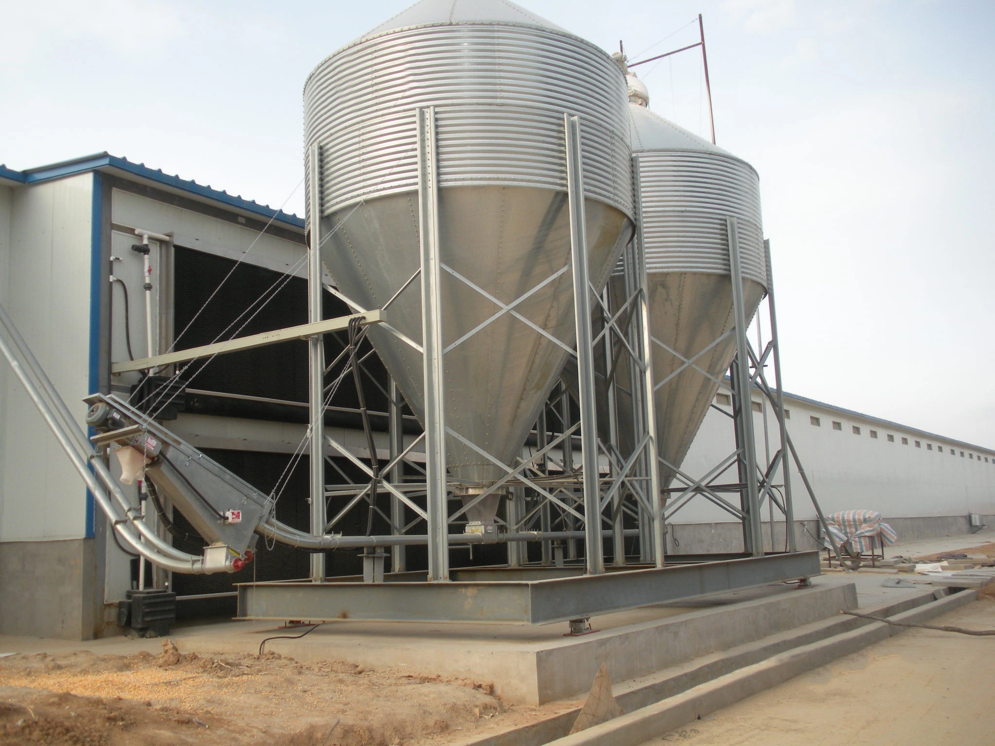 Alimentación automática de carne de pollo Equipo de producción agrícola para beber