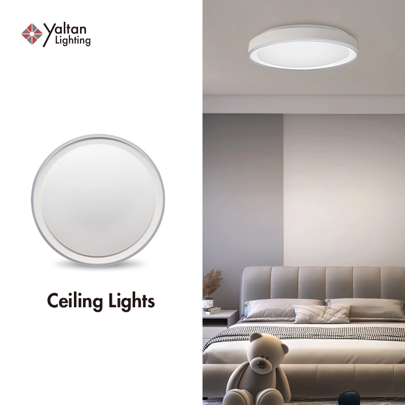 Surface LED Ceiling Mounted Indoor Bedroom Living Room Home Lighting