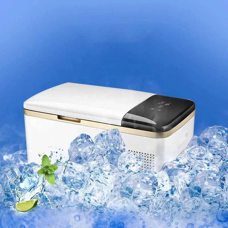 Hot Sale Car Refrigerator 30L Mini Ice Fridge Freezer with New Design