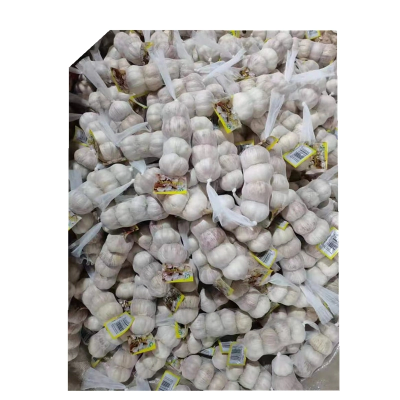 Fresh Garlic Garlicfresh 10kg Mesh Bag Fresh Garlic