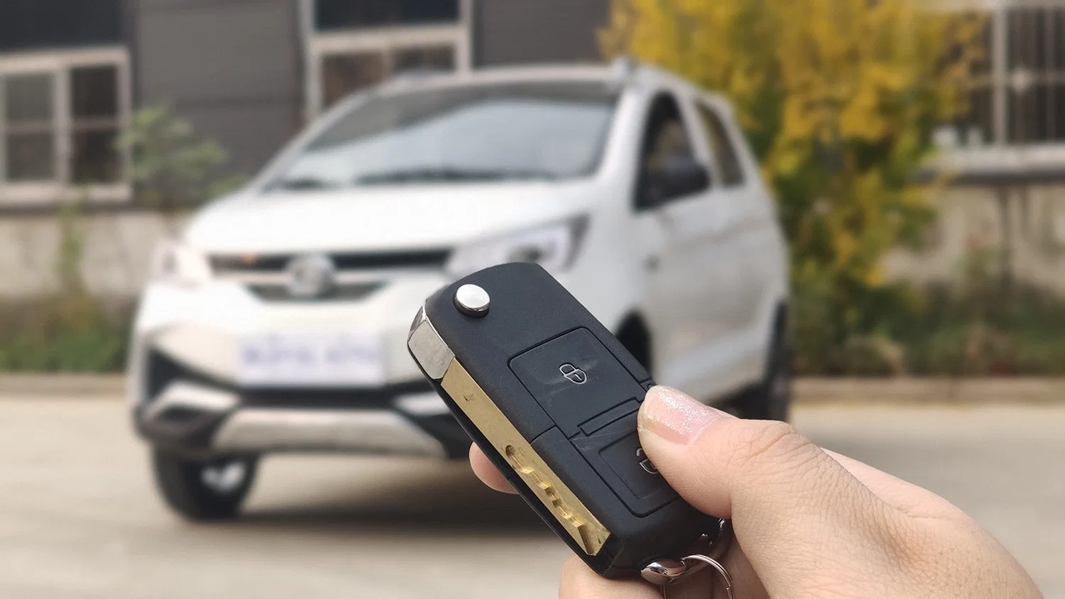 Melhor Venda Scooter cabina eléctrica de carro para o mercado do Oriente Médio