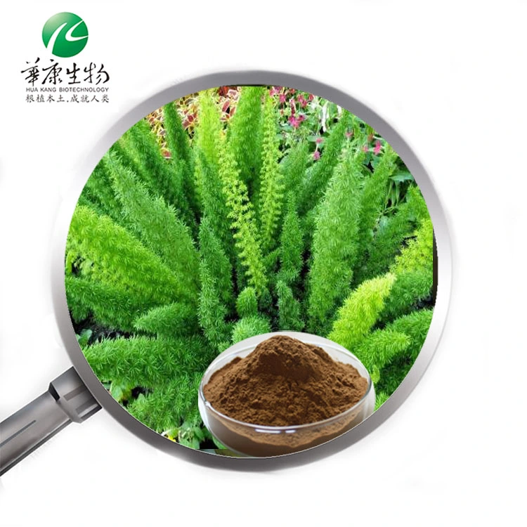 Herbal Extract Water Soluble Asparagus Racemosus 10: 1 Asparagus Root Extract Powder