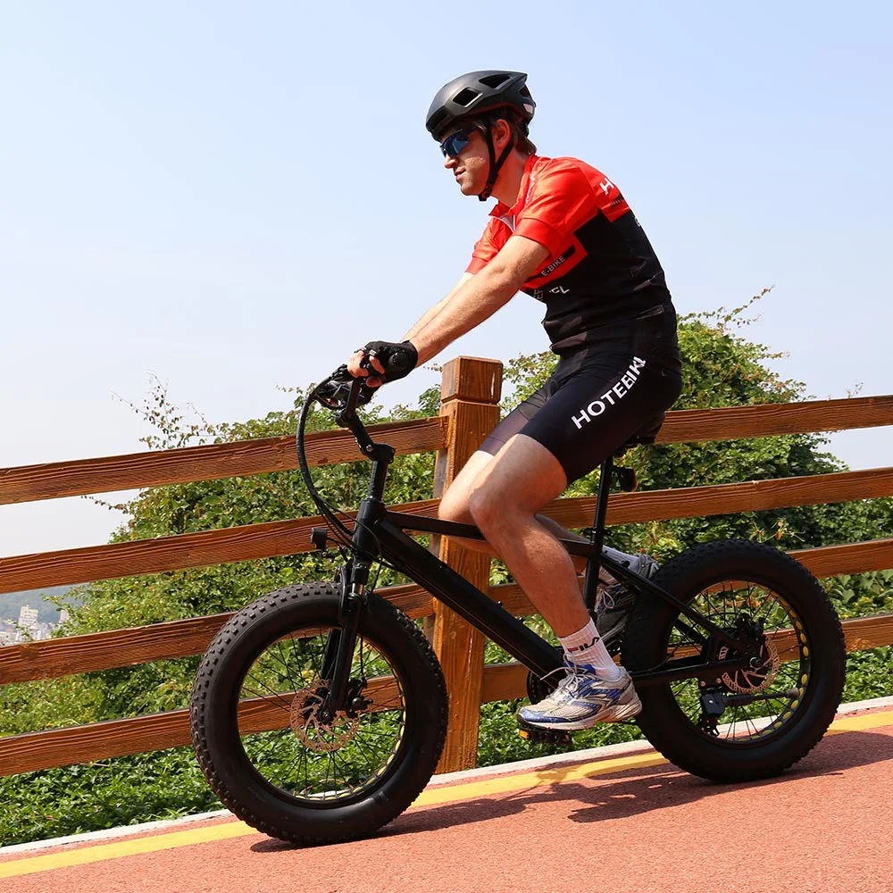 20&quot; CE Approved Shuangye or Hotebike OEM Mini Bike Mountain Bicycle