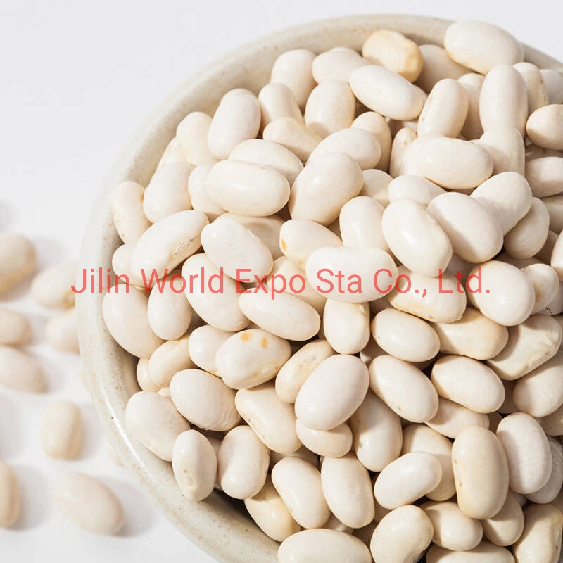 Wholesale/Supplier Dried White Kidney Beans for Food China