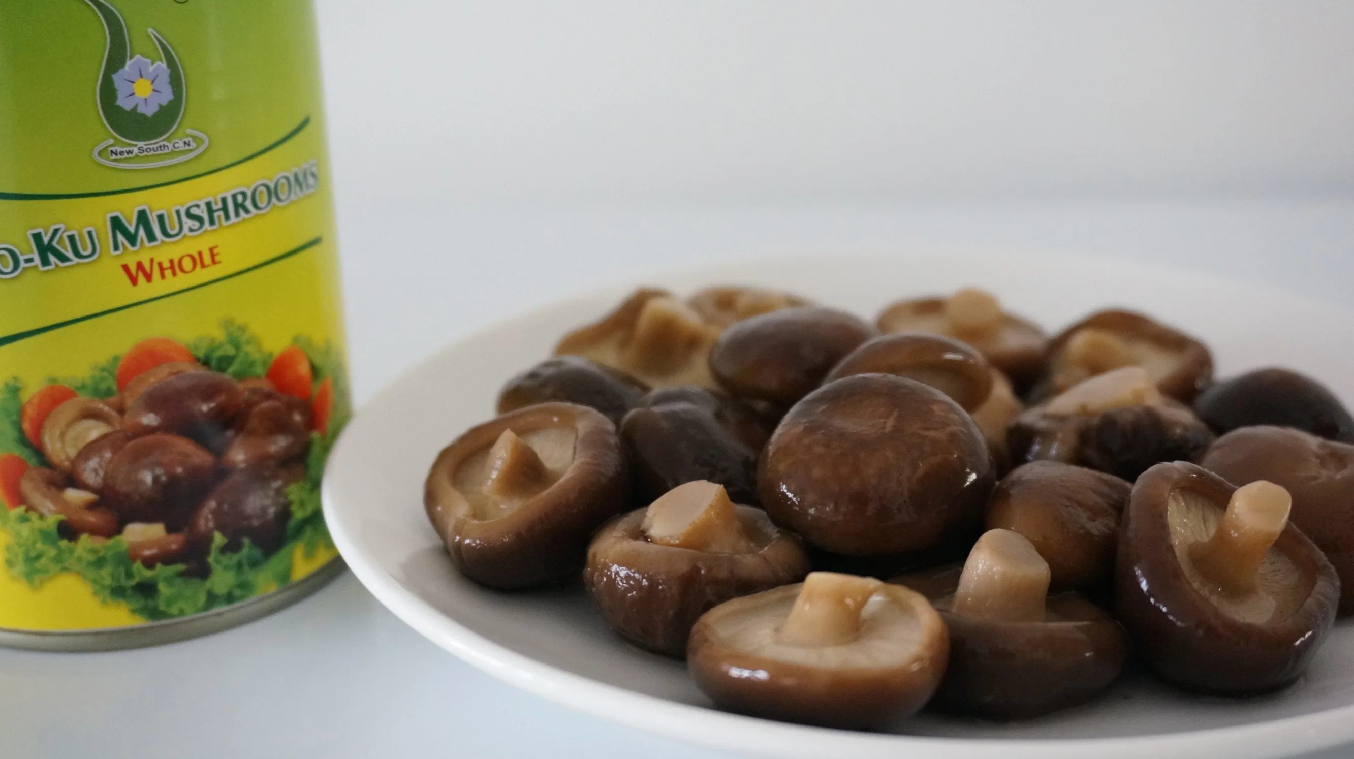 Chinese Traditional Healthcare Shiitake Mushroom with Own Brand