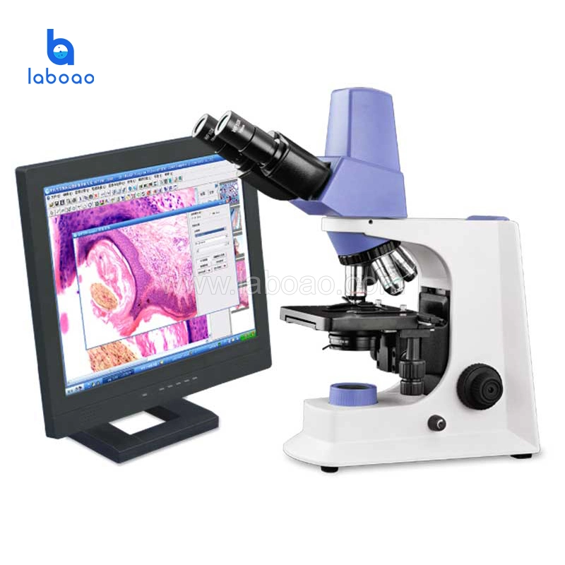 Digital Camera Biological Microscope for Advanced Teaching and Clinical Examination