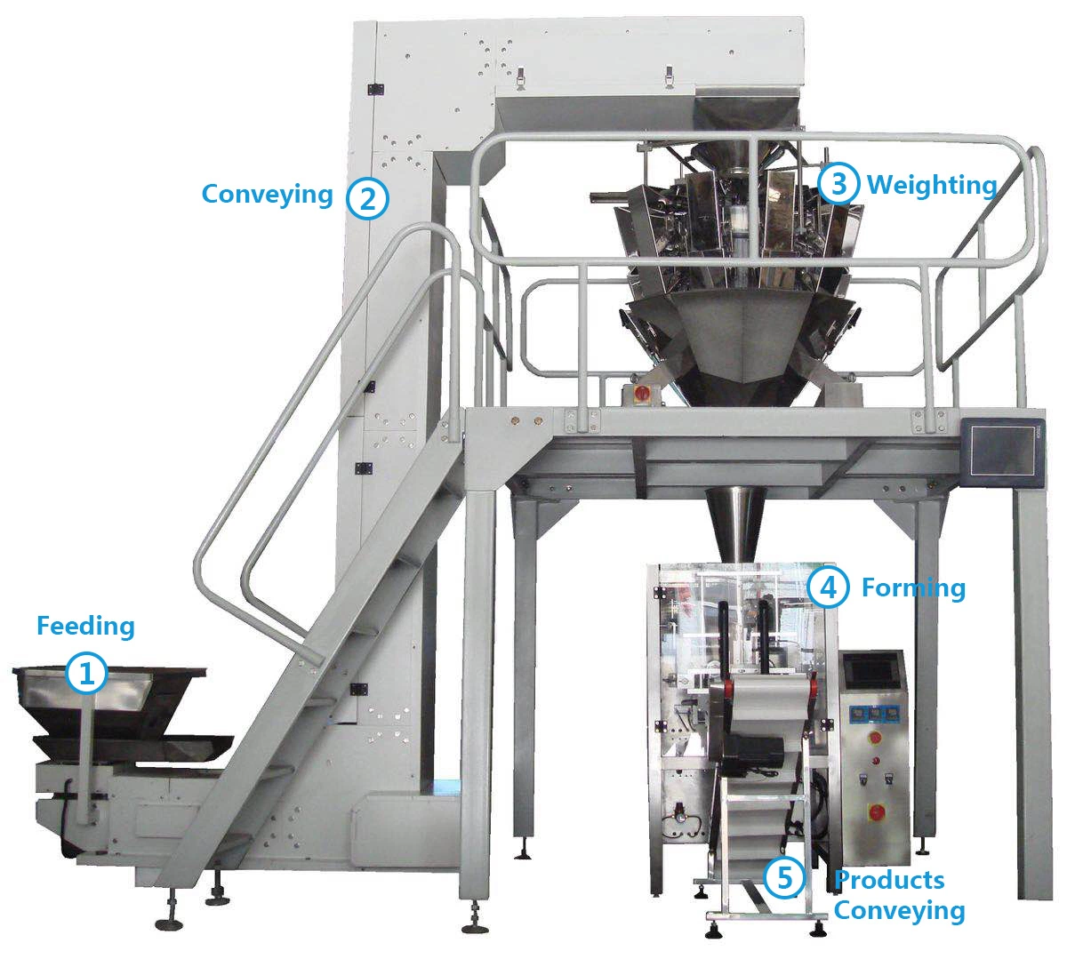 10G-3000G balance électronique Poids granule de sac de remplissage automatique machine de conditionnement