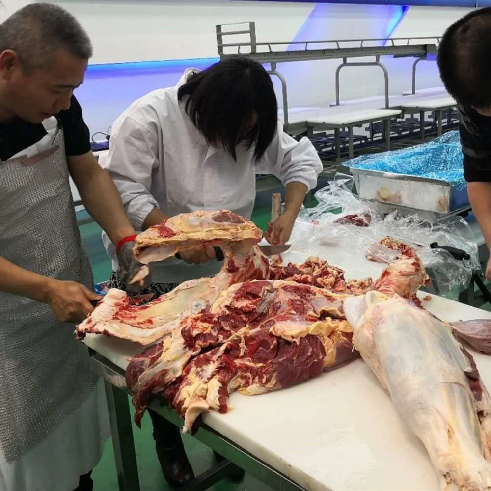 Poulet commercial boeuf matériel de décongélation de viande pour usine de transformation de la viande