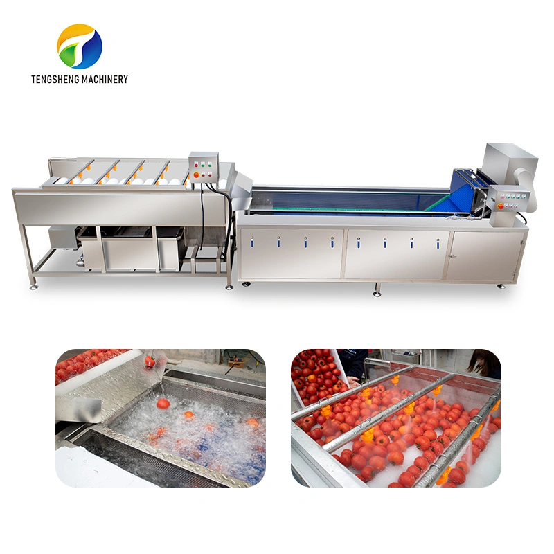 Industrial Stainless Steel Vegetable and Fruit Brush Cleaning Machine Production Line