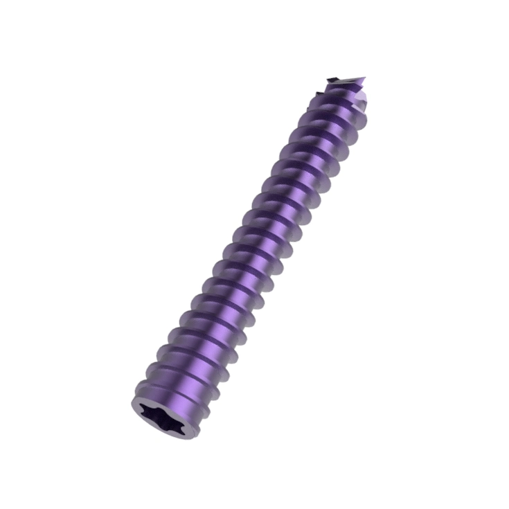 Orthopedic Headless Compression Cannulated Screw Herber Screw Titanium Traumatlogia