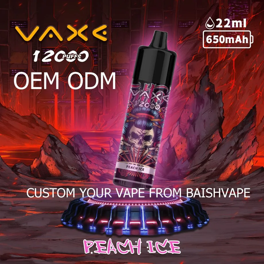 Vaxe 12K Puffs Zbood etiqueta privada Pi9000 Europa Cute Luckee Vuse Go E Cigarette desechable VAPE