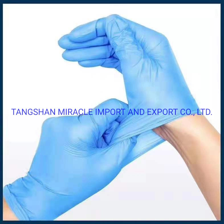 Protective Gloves Powder Free/Powdered PVC/ CPE /Glove Disposable Gloves Food Grade Industrial Grade Examination Glove