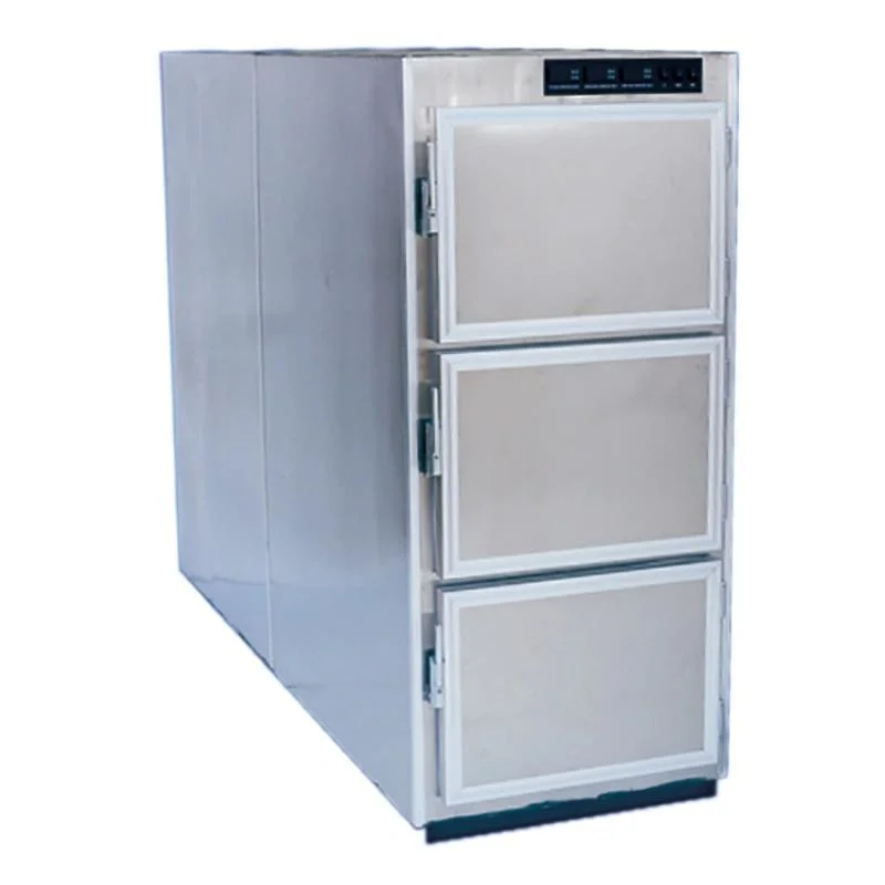 2 Body Mortuary Cooler Corpses Cabient Mortuary Freezer Corpse Refrigerator