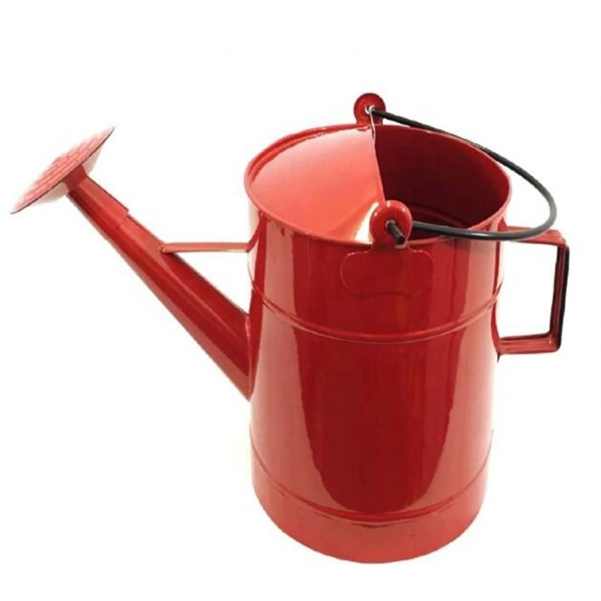 Classic Gold Watering Can for Plants