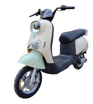 Hot Sell Long Range Electric Motorcycle Electric Bicycle with Lithium Battery Customized