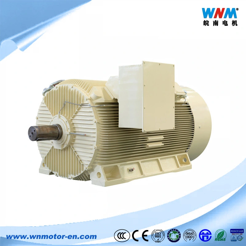 Y Ykk Yks Ykkvf Squirrel Cage Rotor Medium Voltage Asynchronous Motors