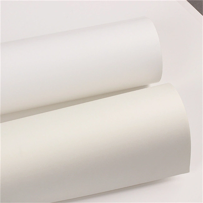 55g 80g 120GSM Woodfree Offset Printing Paper for Textbooks or Notebooks