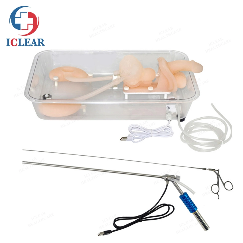 Ureteroscopy Simulation Training Urinary Endoscopy Training Model Hollow Material Is Soft and Tough