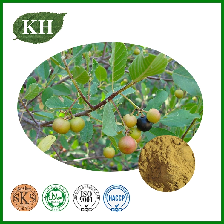 Rhamnus Purshiana Extract Cascara Sagrada Bark Extract Cascarosides 5%-25% UV