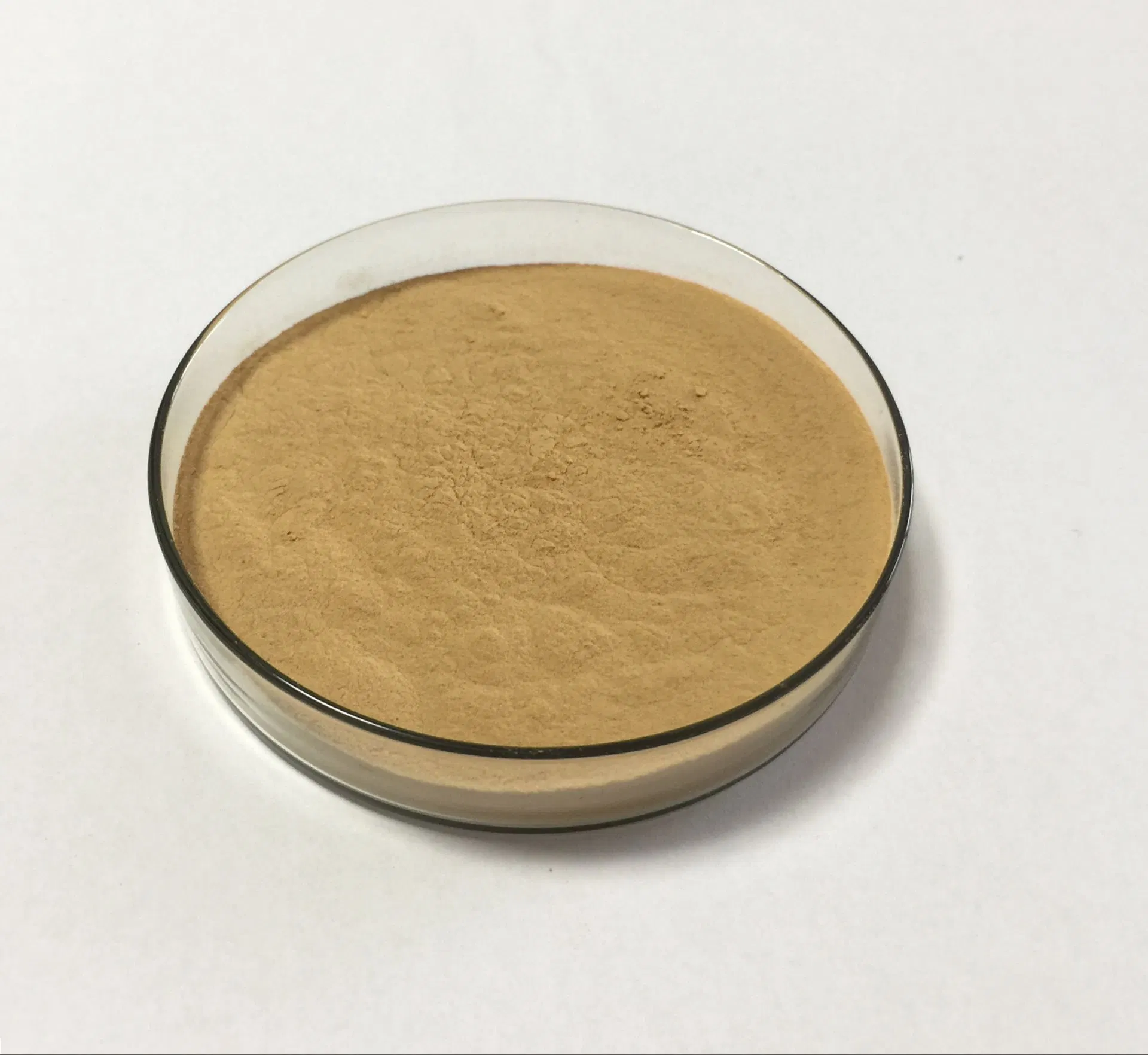 Natural Rosemary Leaf Extract Rosmarinic Acid CAS 20283-92-5 Purity 99% Rosmarinic Acid