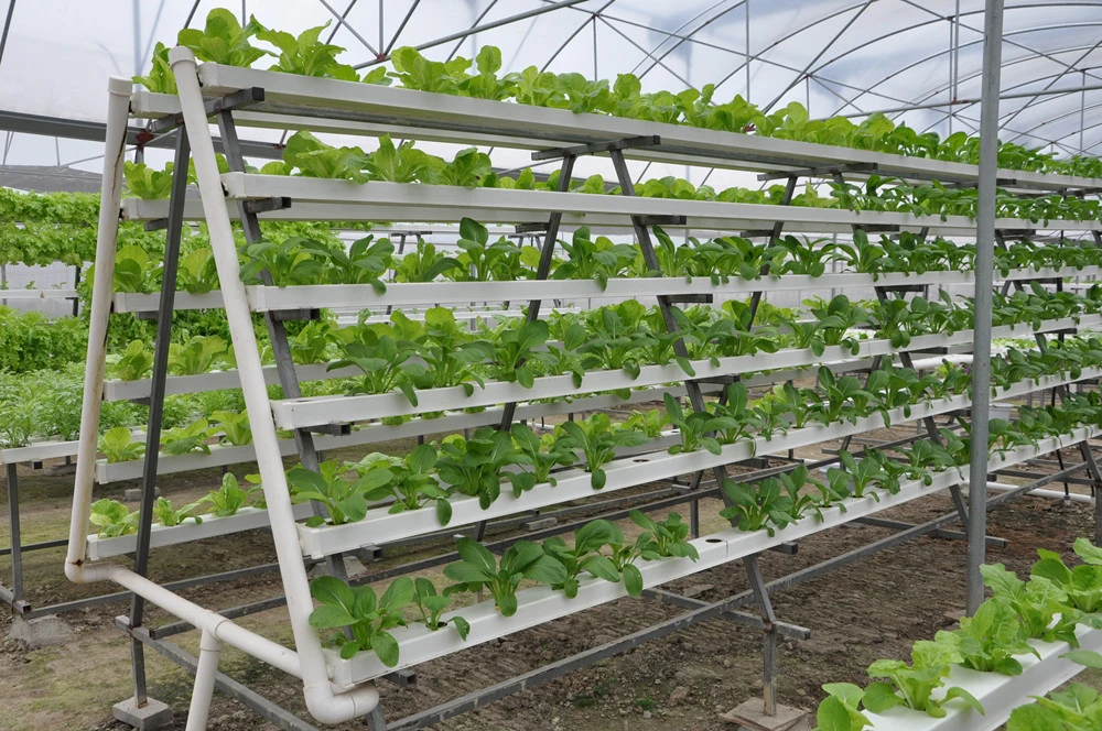 Agricultura invernadero Hydroponic plantar tubo de PVC tubo de canal NFT sistema