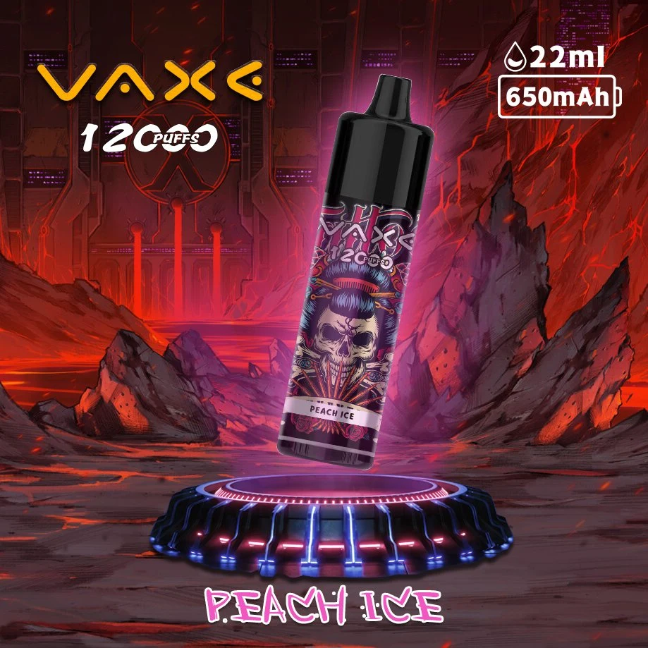 Vaxe VAPE original 12000 Puffs 22ml E-Juice Factory Wholesale/Supplier desechable Eligarette Mazaj Insta Bar Roma Atomizer ISTA Ale Fakher Custom Vaporizador