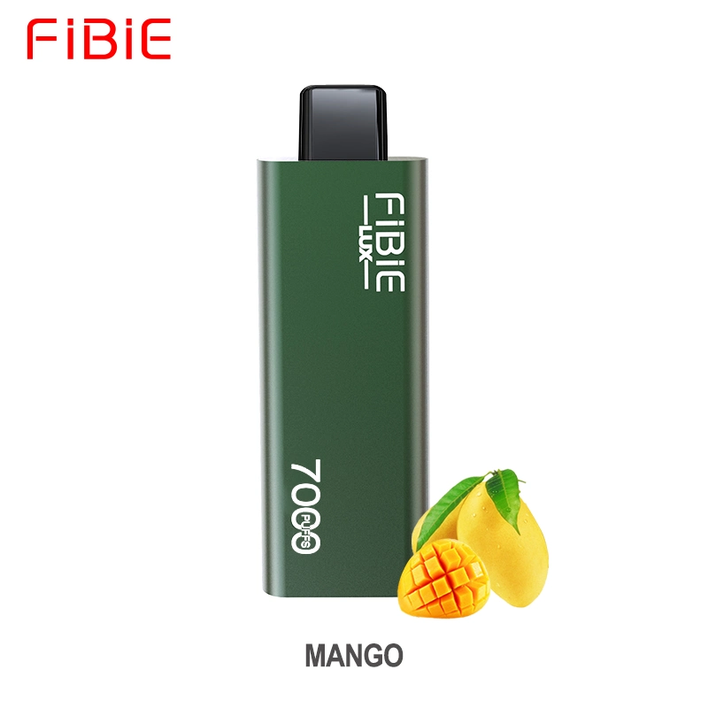 Vaper de sopro de curva por atacado Fibie Lux e CIG 7000 Mini Electronic cigarro recarregável Alemanha melhor preço Wape Esshisha Randm Vapes e CIG descartáveis